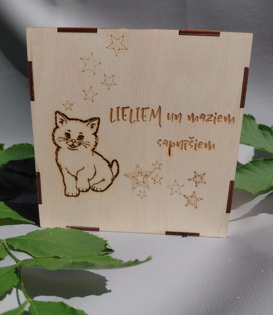 Mērķa krājkasīte KAĶIS